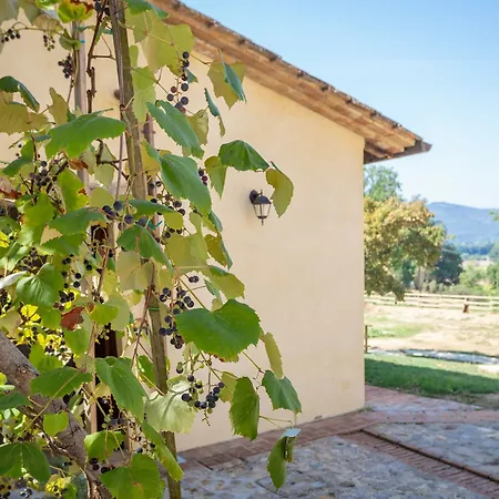 Station touristique Borgo Pulciano